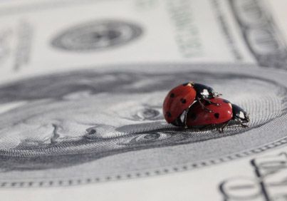 Я не торгую зброєю, наркотиками та людьми