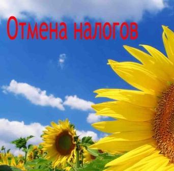 Образование и медицина без налогов