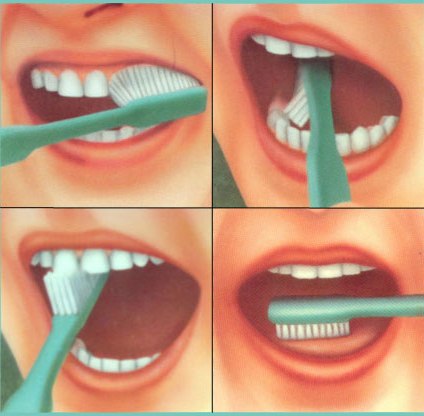 Министерство зубной щётки