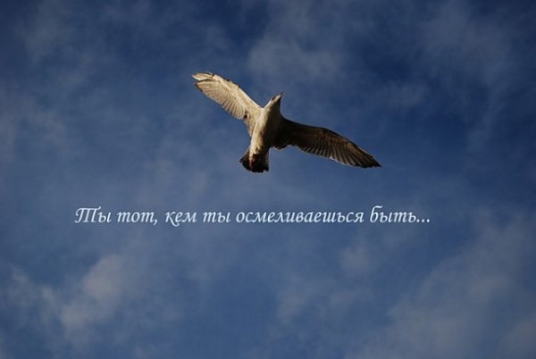 Стресс-шоу Украина